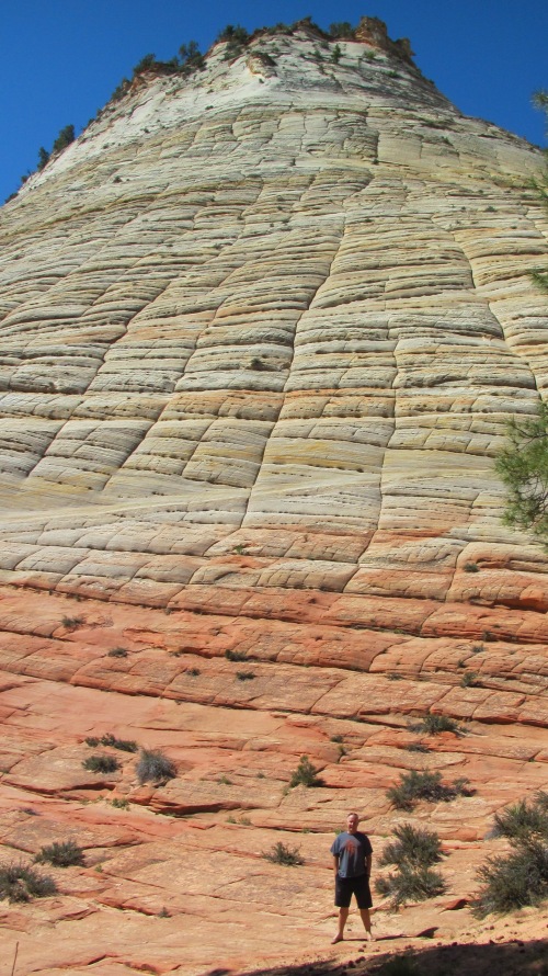 The Checkerboard Mesa in Zion National Park